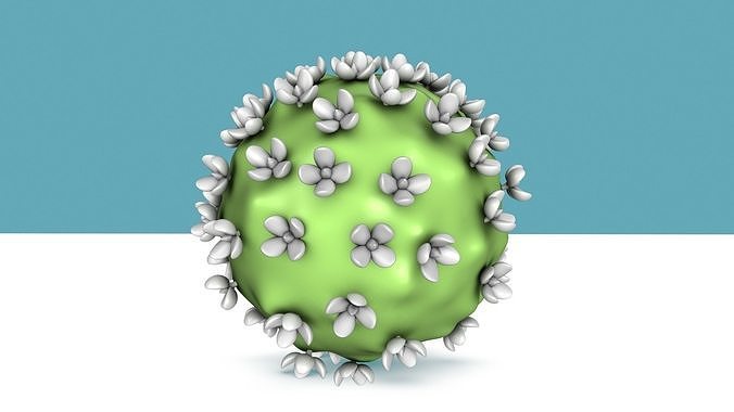 corona virus 3D model