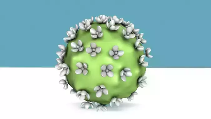 corona virus 3D model