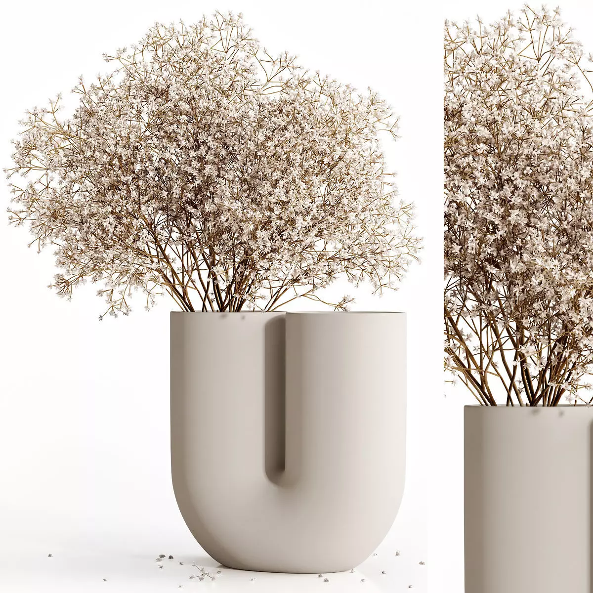 Dry flowers 9 3D model_0