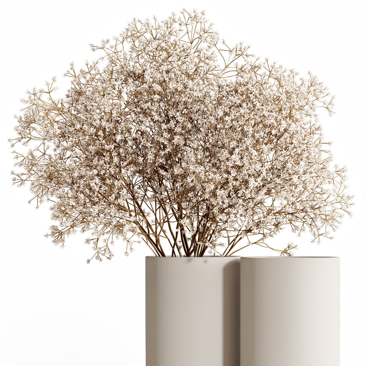 Dry flowers 9 3D model_3