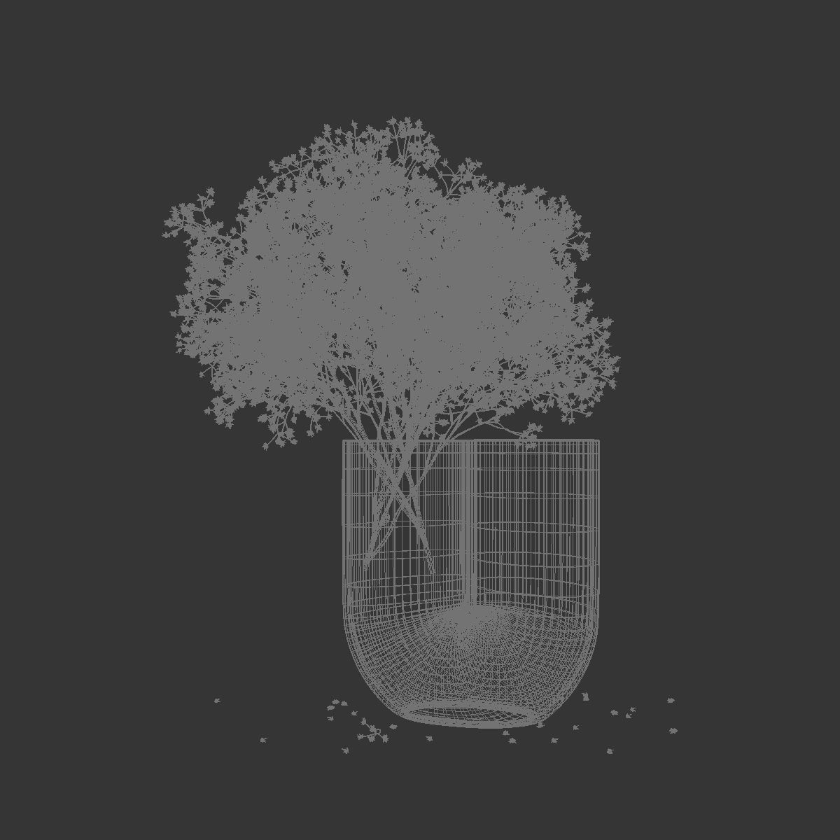 Dry flowers 9 3D model_8