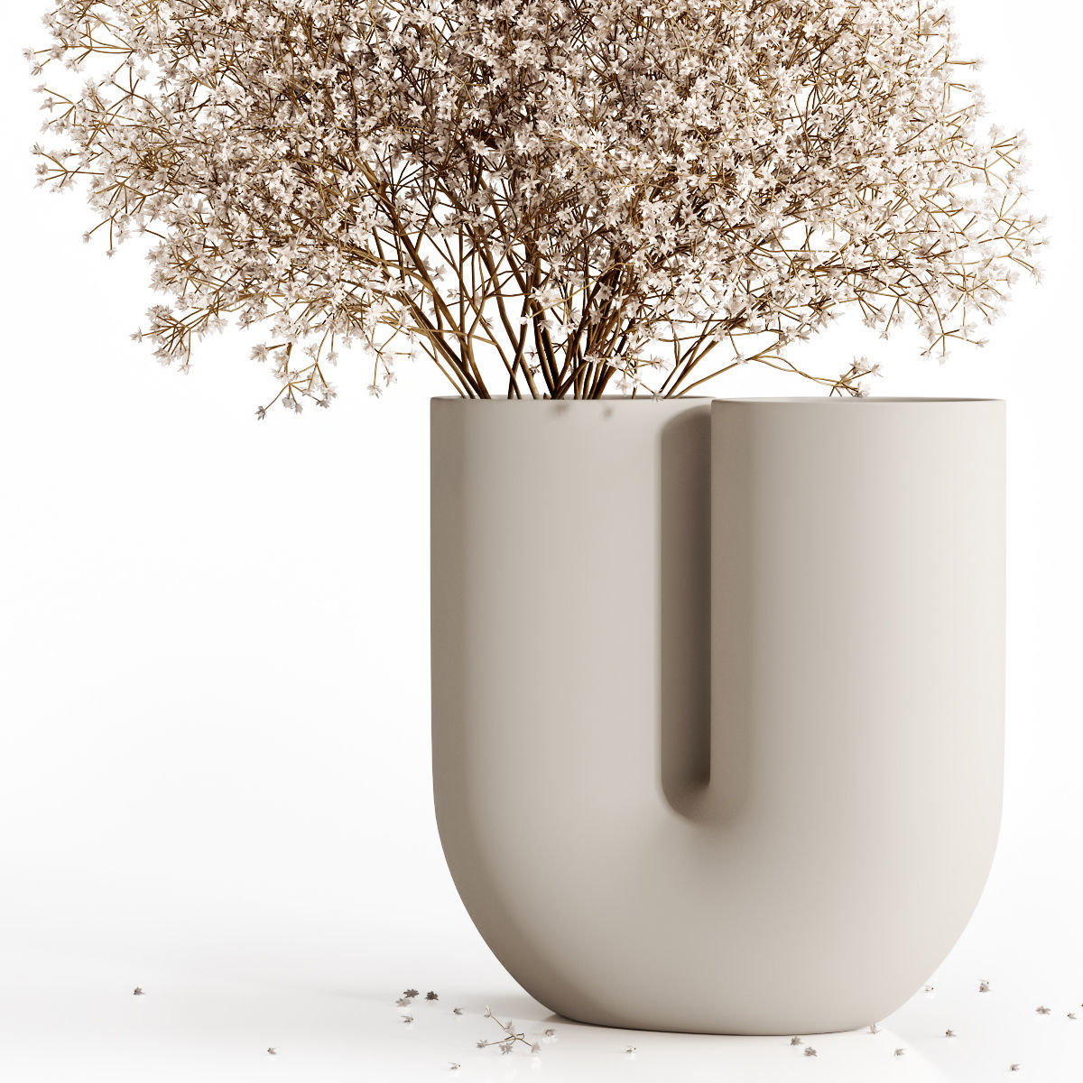 Dry flowers 9 3D model_4