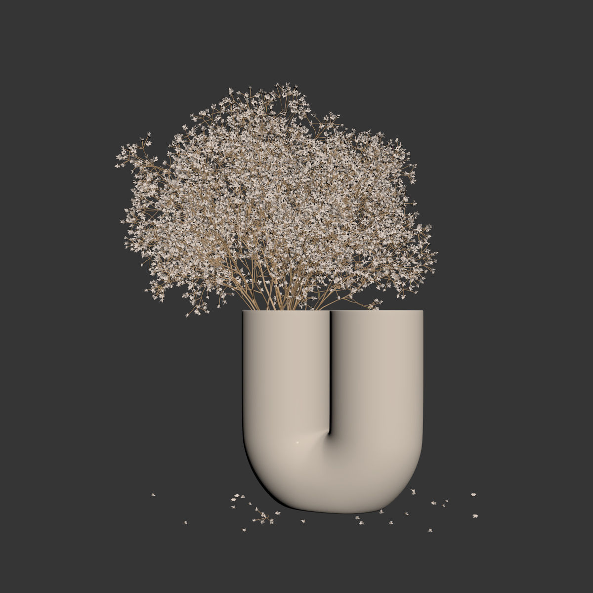Dry flowers 9 3D model_5