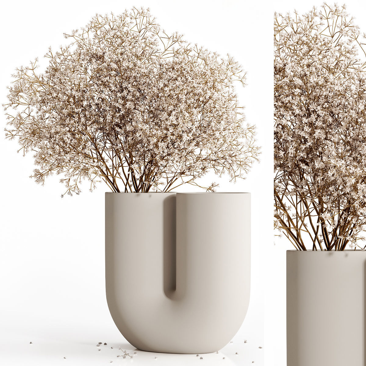 Dry flowers 9 3D model_1