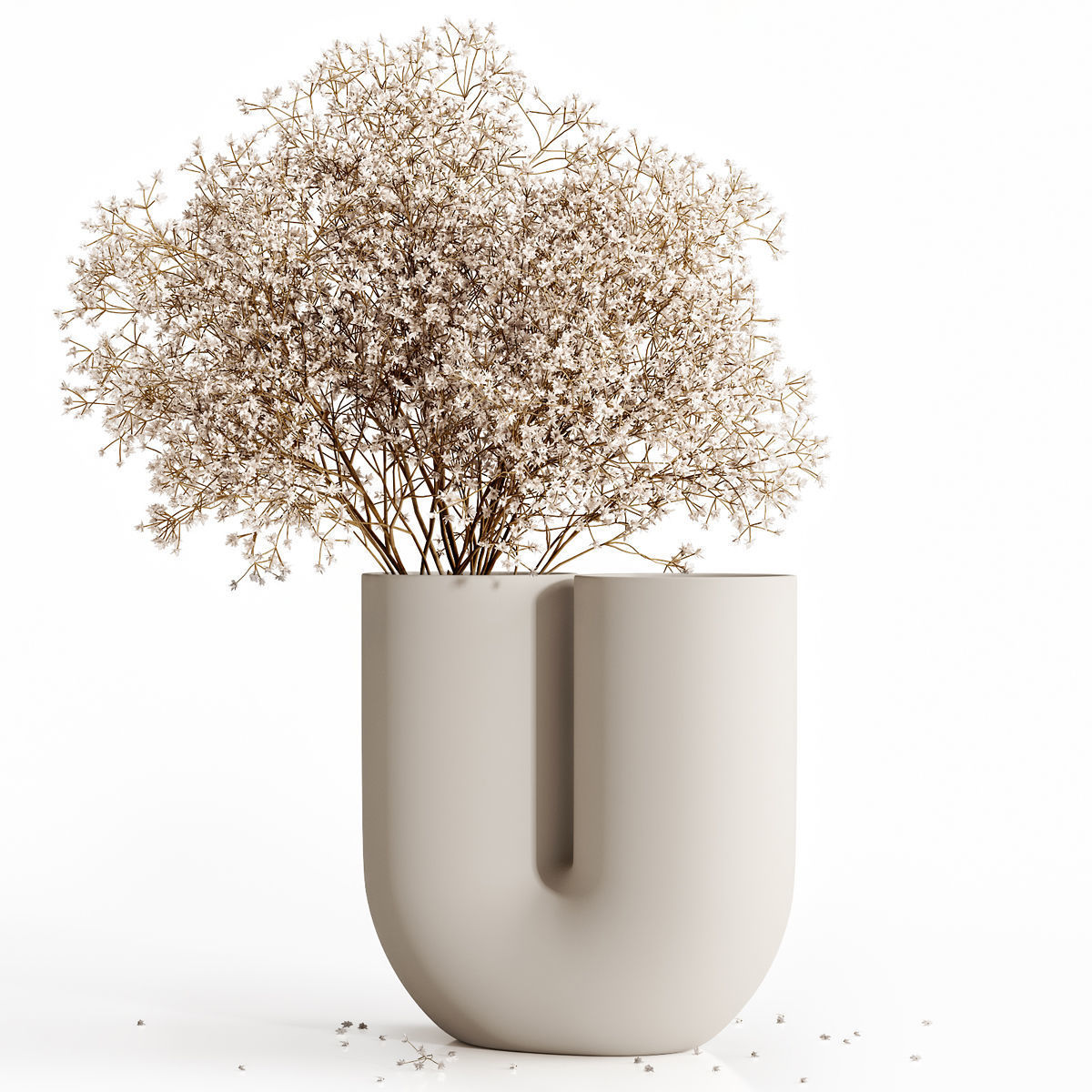 Dry flowers 9 3D model_2