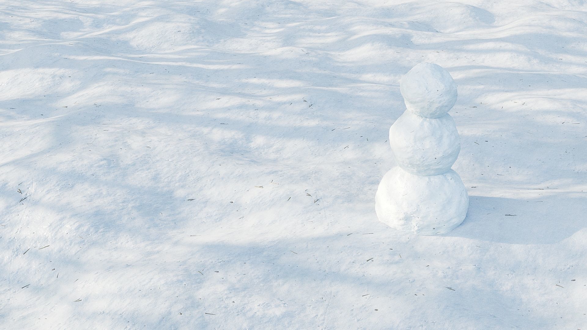 Snow 01 3D model_1