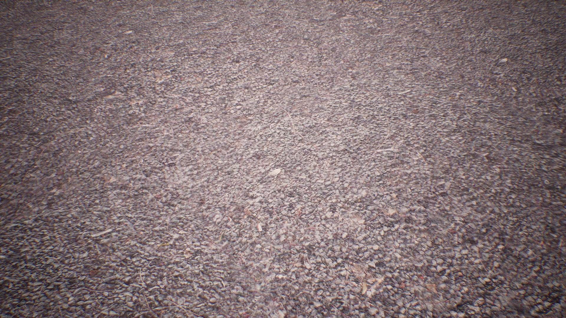 Dry Animal Bones - Photoscan Vol 2 Low-poly 3D model_8