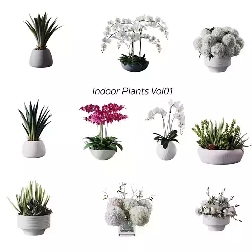 Indoor plants vol01