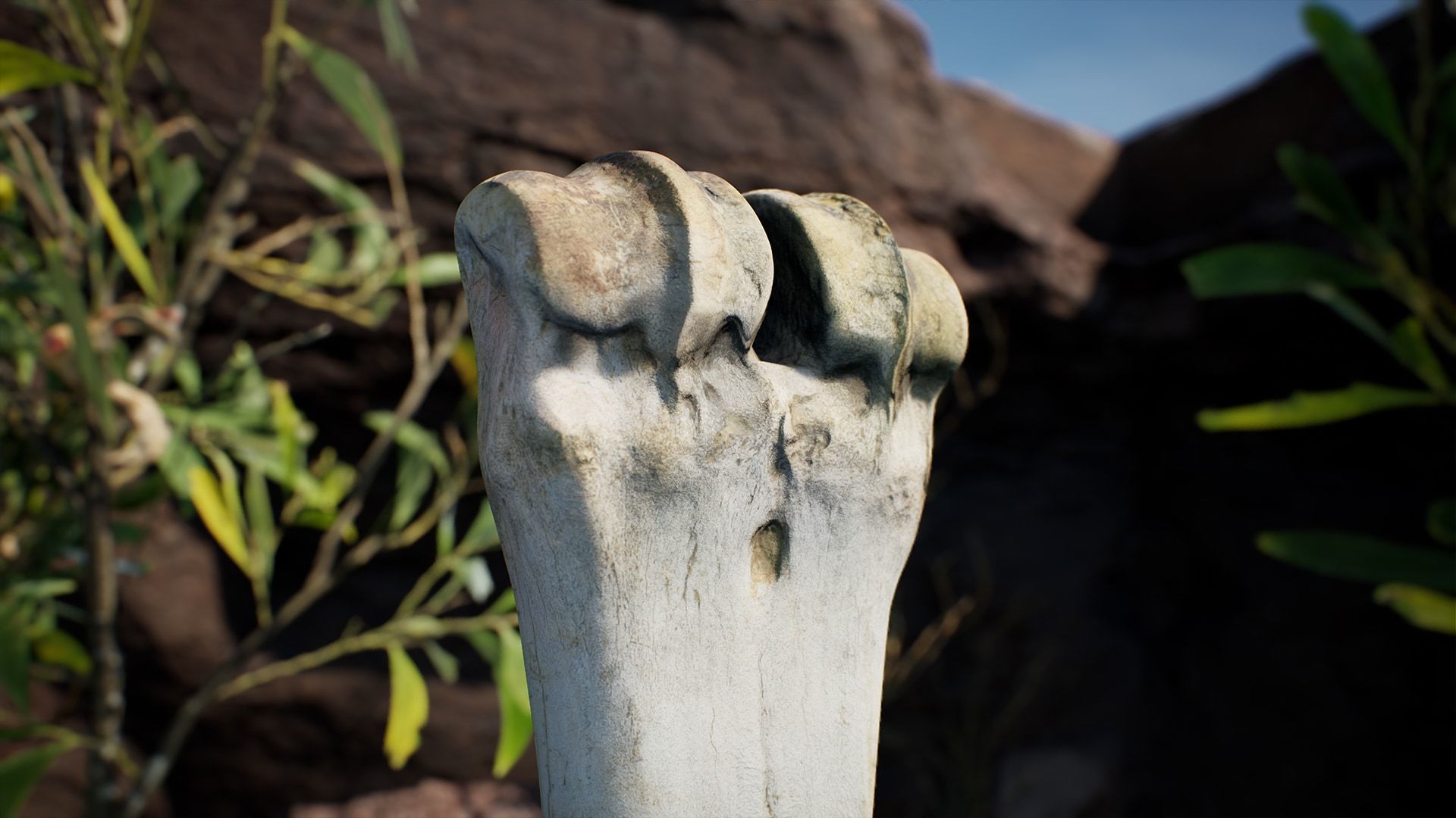 Australian Desert Photoscan Collection Low-poly 3D model_8