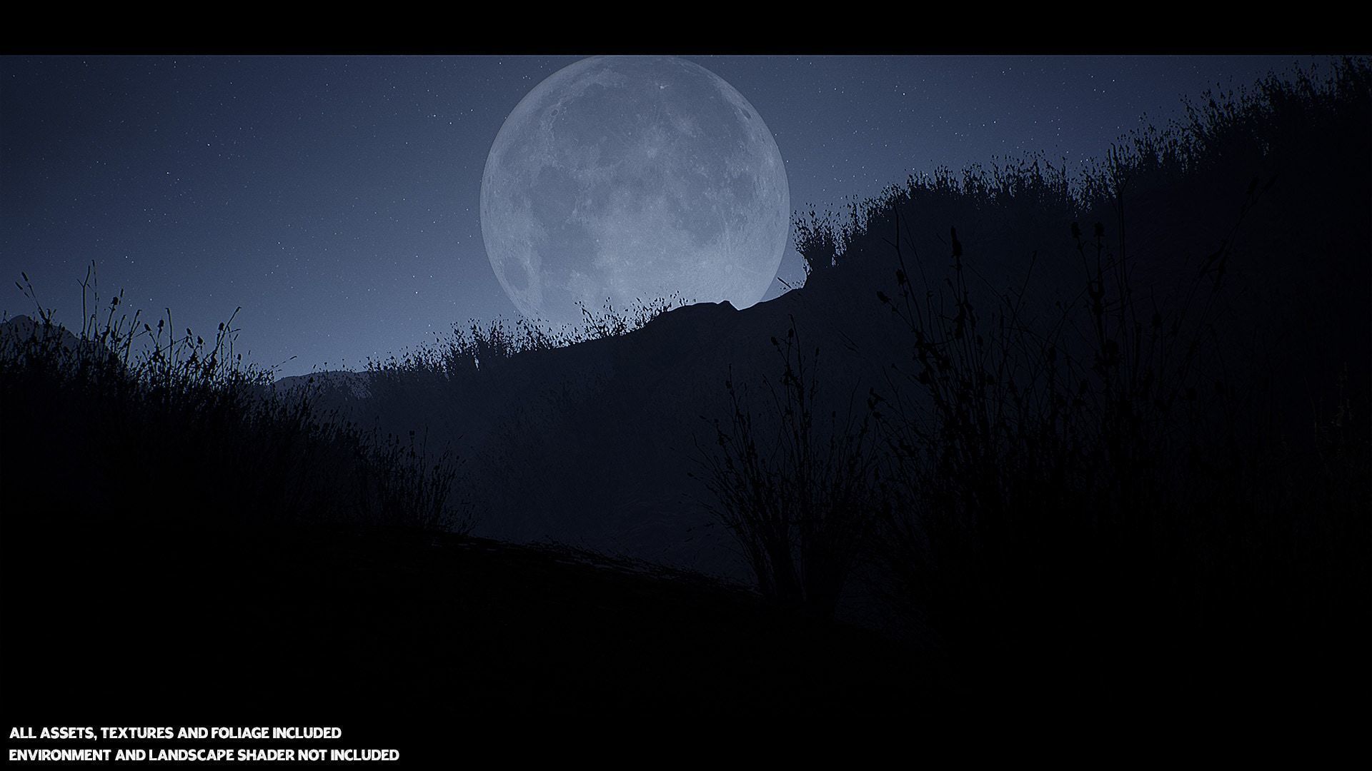 Australian Desert Photoscan Collection Low-poly 3D model_6