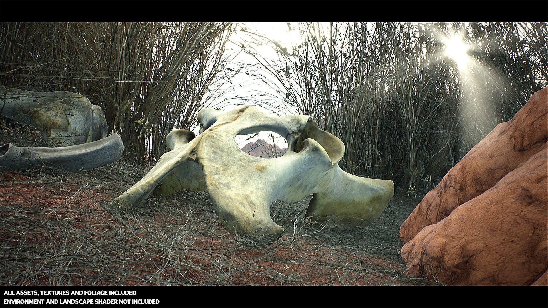 Australian Desert Photoscan Collection Low-poly 3D model_5