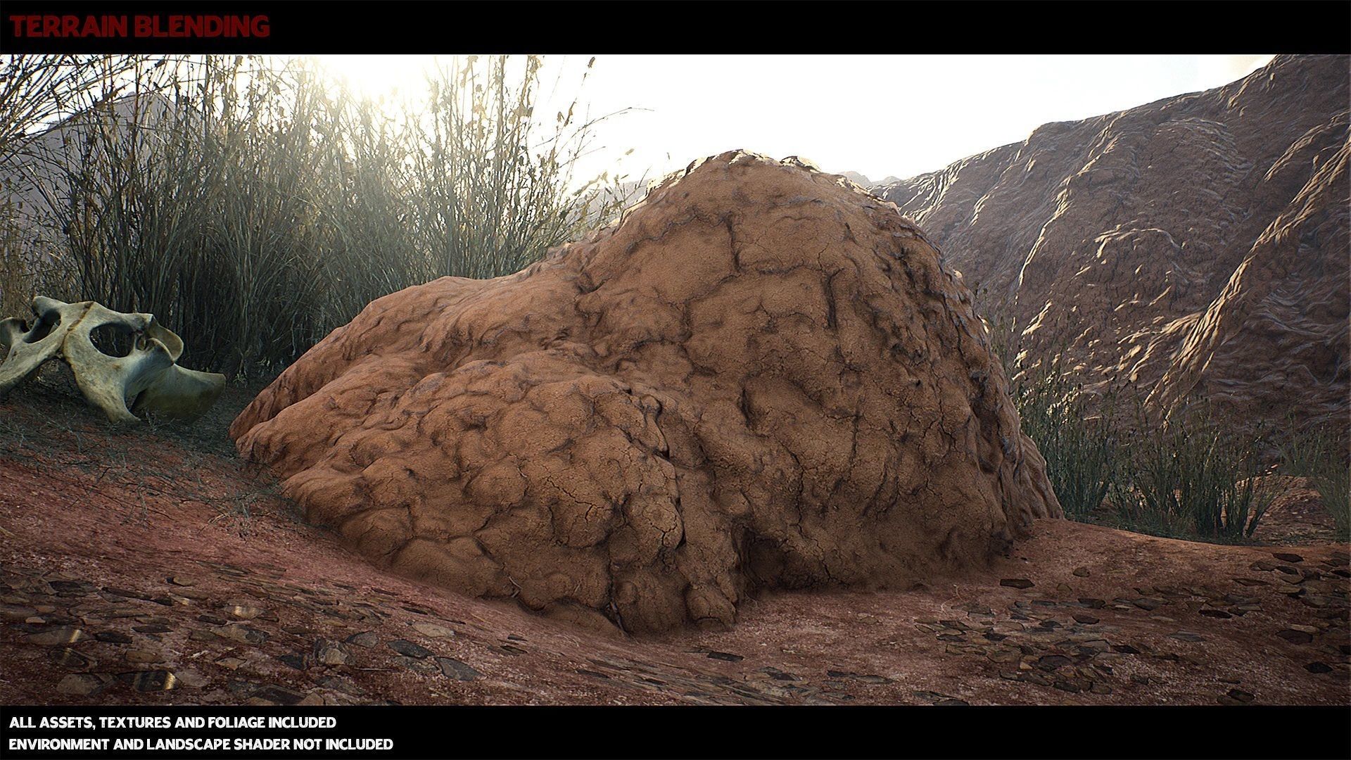 Australian Desert Photoscan Collection Low-poly 3D model_2