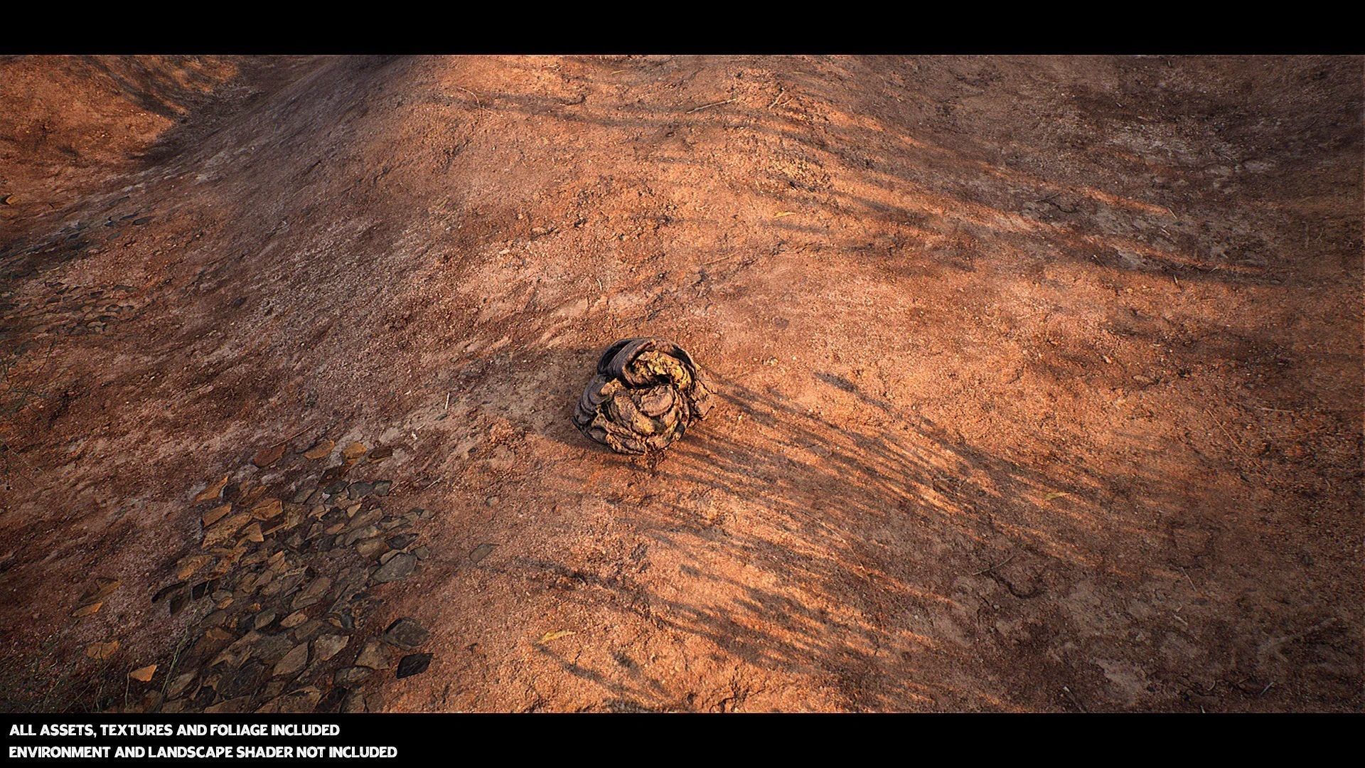 Australian Desert Photoscan Collection Low-poly 3D model_7