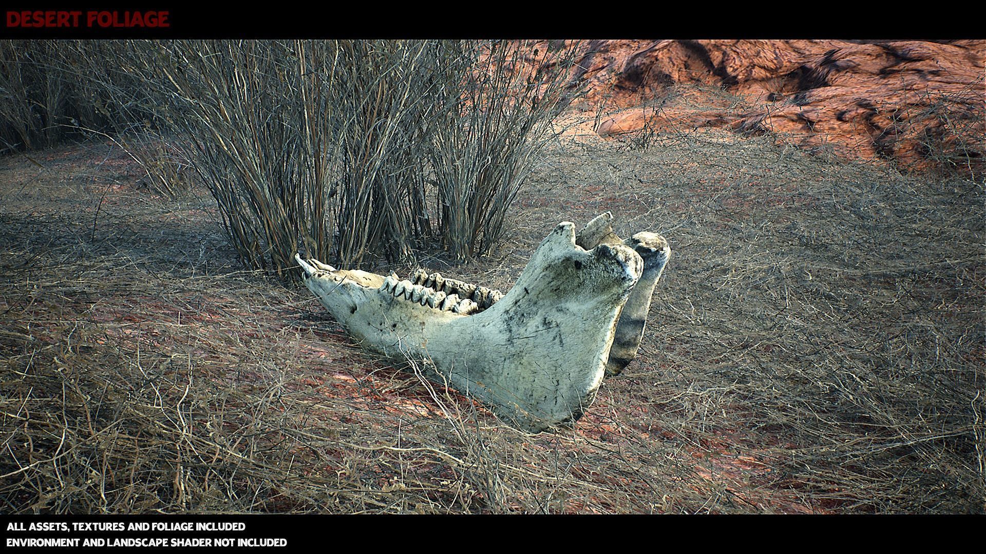 Australian Desert Photoscan Collection Low-poly 3D model_4