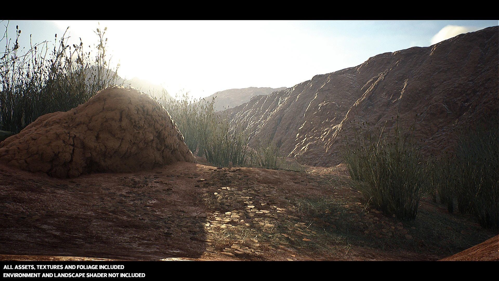 Australian Desert Photoscan Collection Low-poly 3D model_3