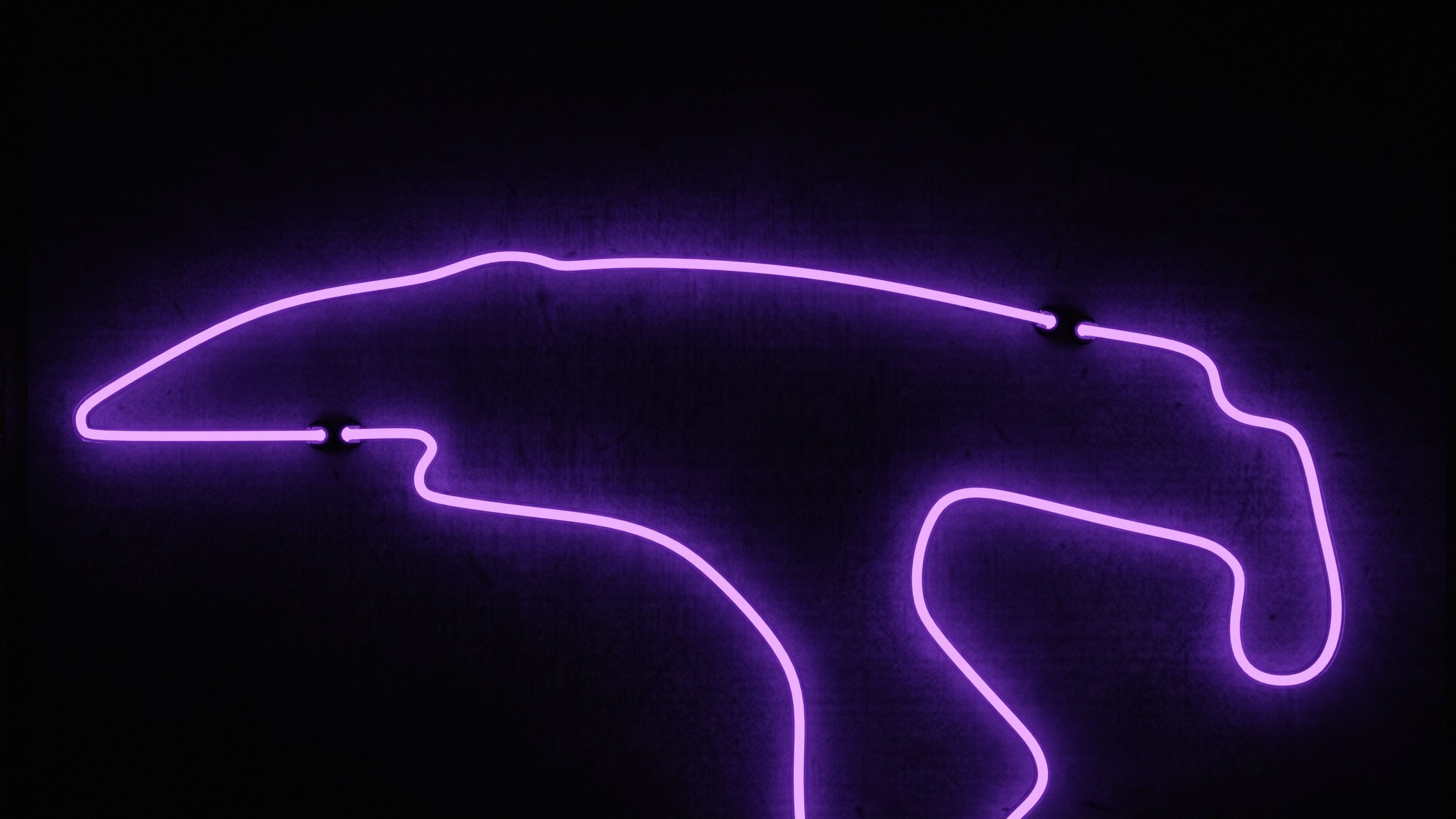 Neon 3D Model 18 - Race Track 3 - SPA 3D model_4