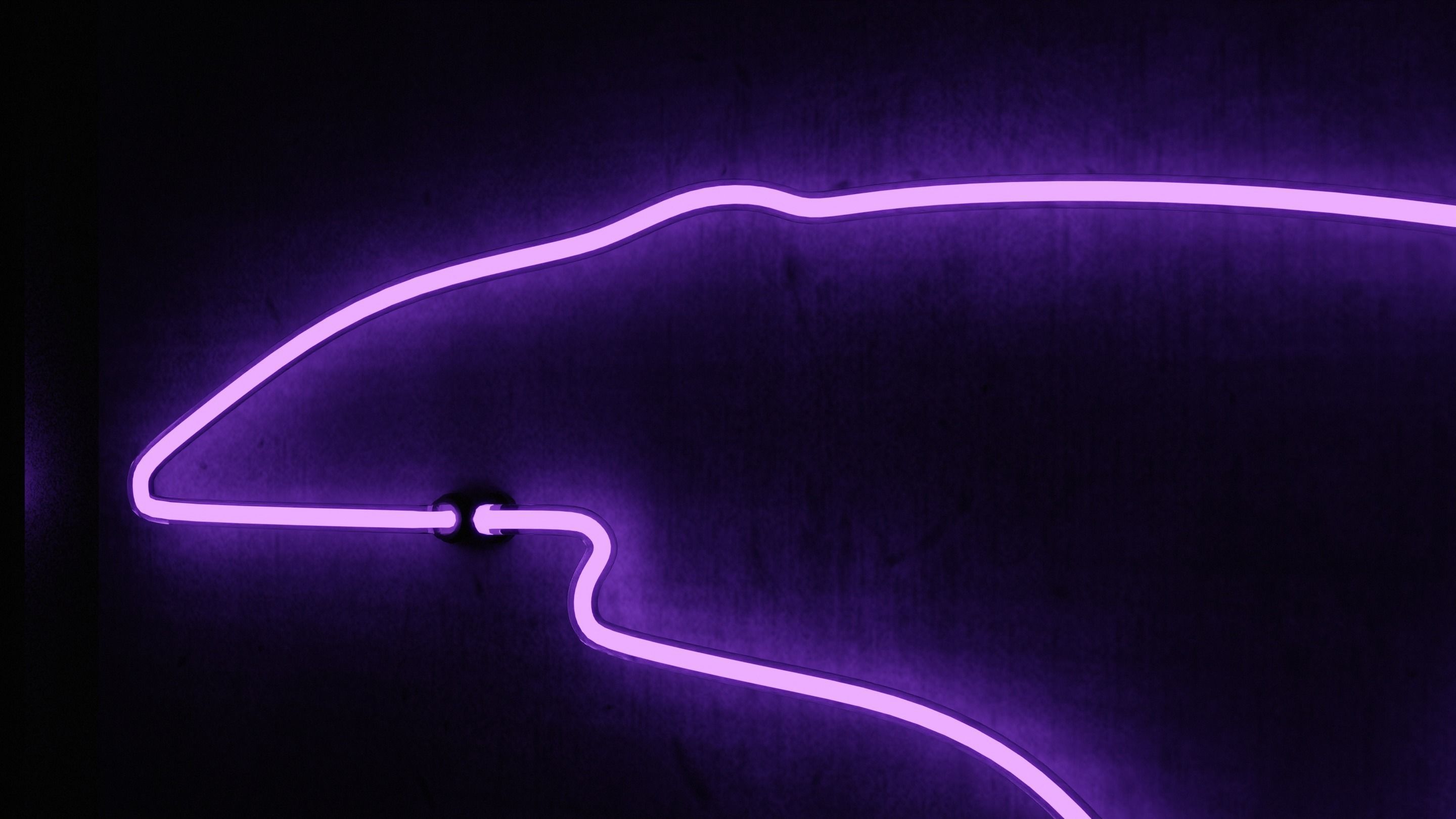 Neon 3D Model 18 - Race Track 3 - SPA 3D model_9