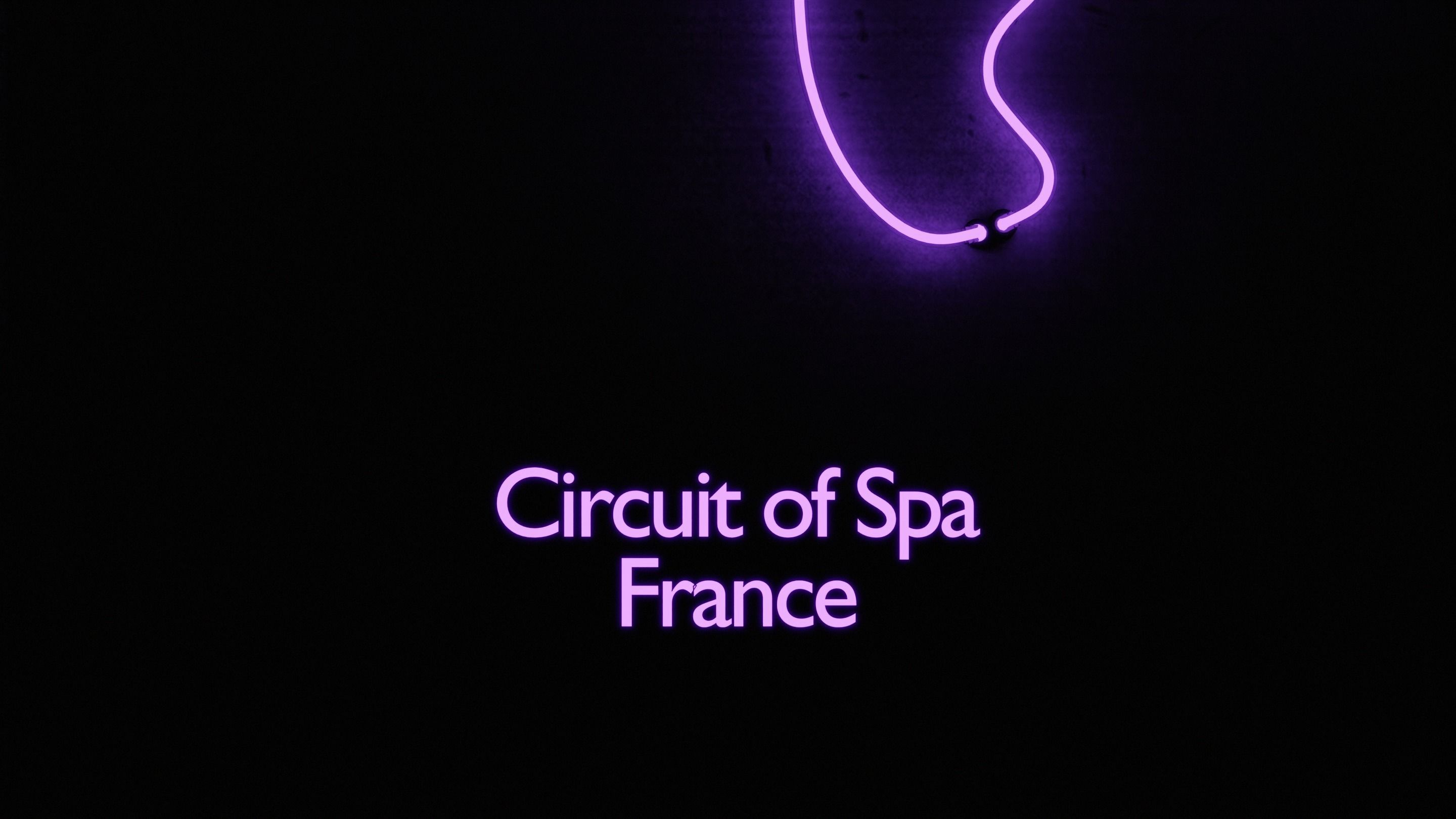 Neon 3D Model 18 - Race Track 3 - SPA 3D model_2