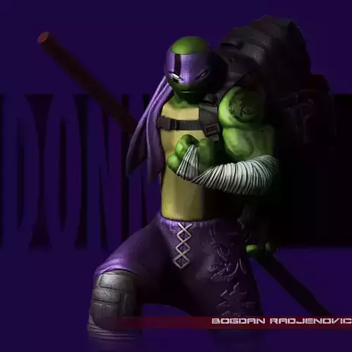 Donatello TMNT