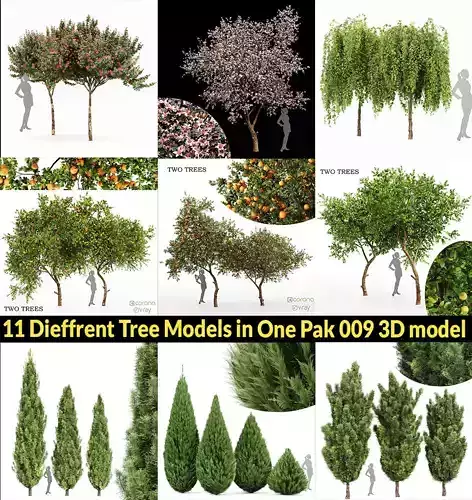 11 Dieffrent Tree Models in One Pak 009 3D model