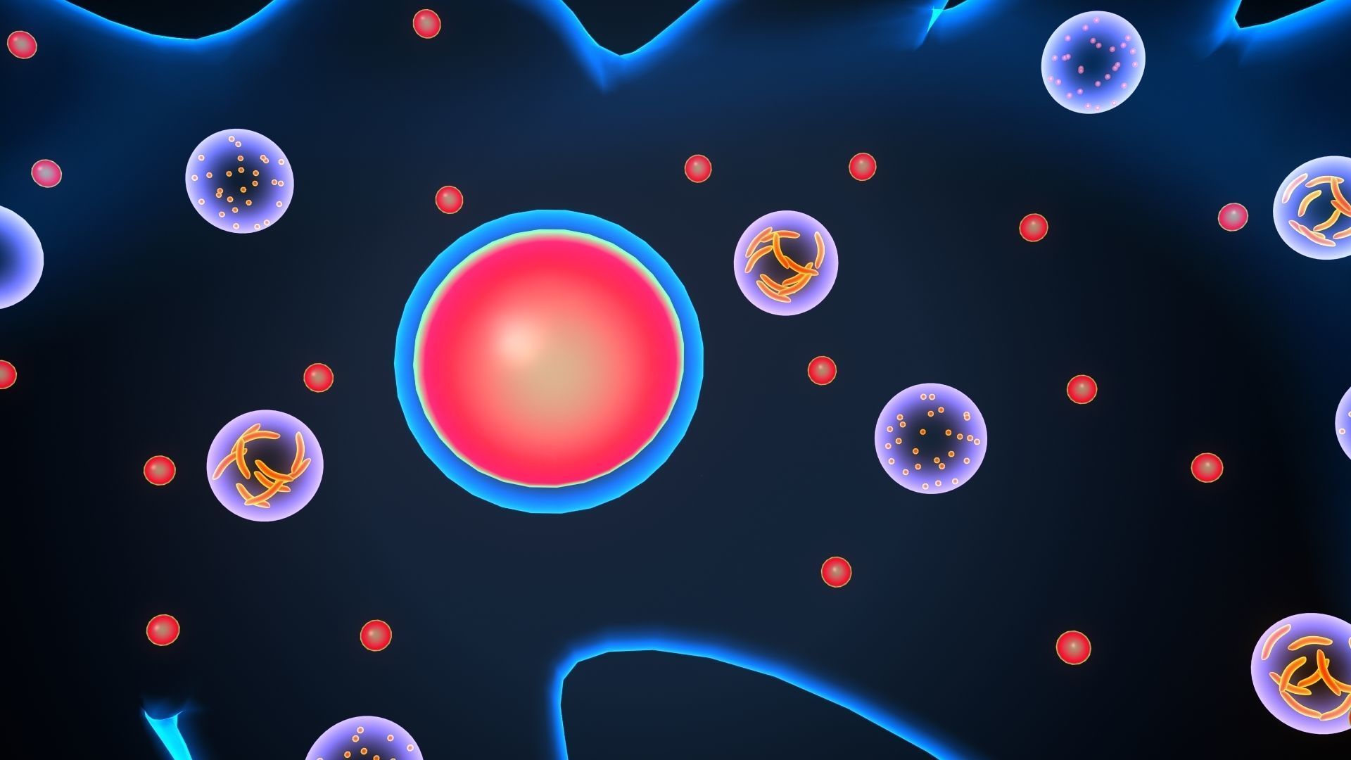 ameoba cell 3D model_6