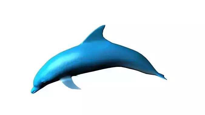 dolphin lowpoly 3D model