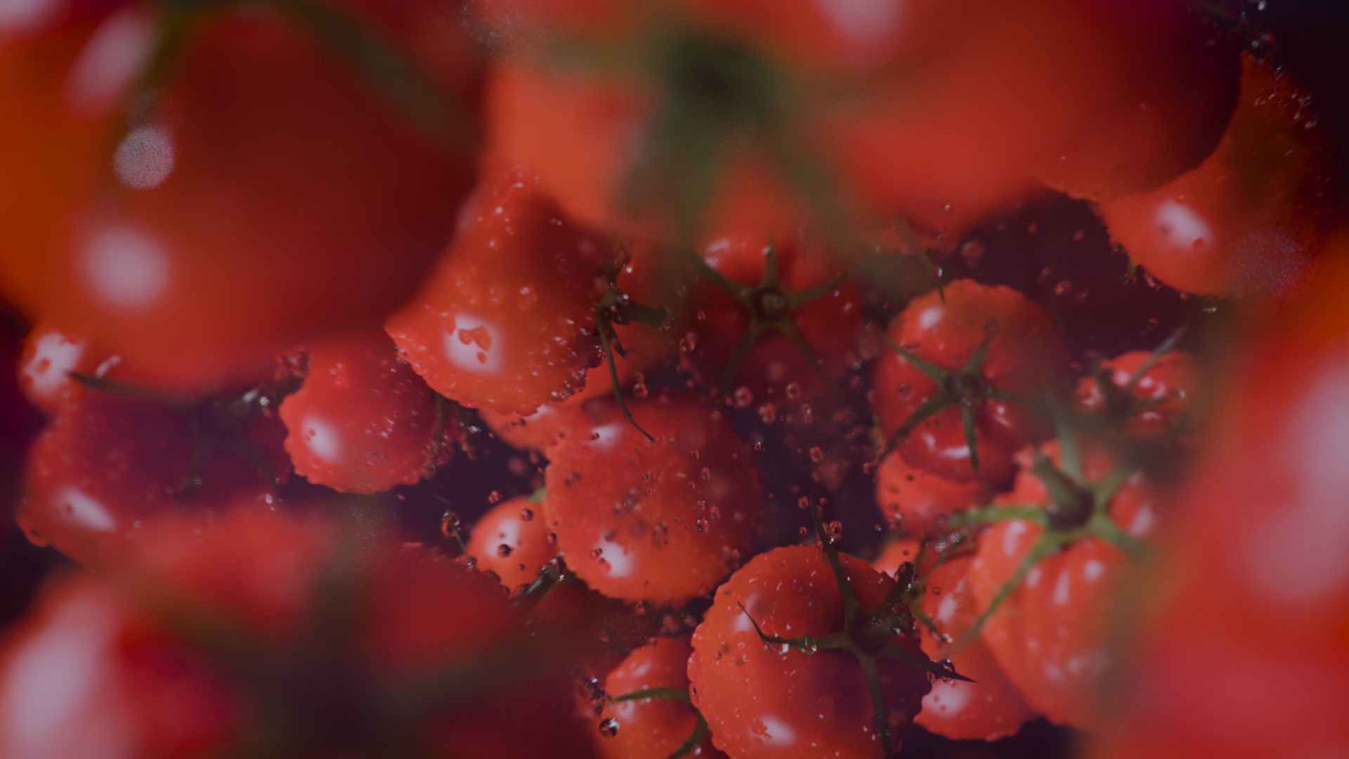 Tomatoes 3D model_9
