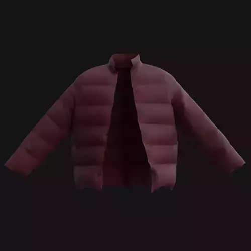 Puffer jacket - Male winter jacket