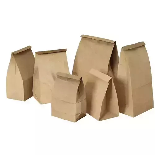 Paper bag 1 3D model