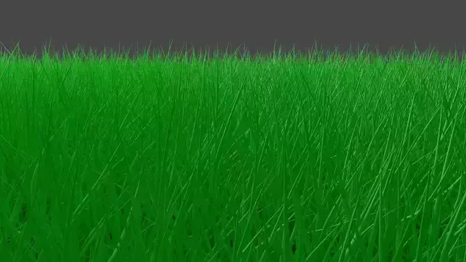 Realistic Grass Asset