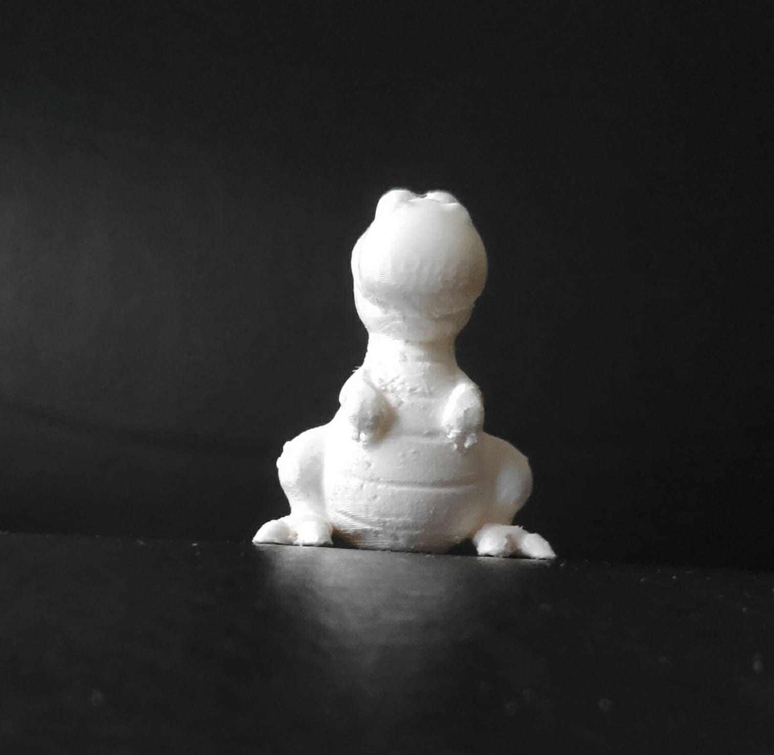 Funny TRex 3D print model_10