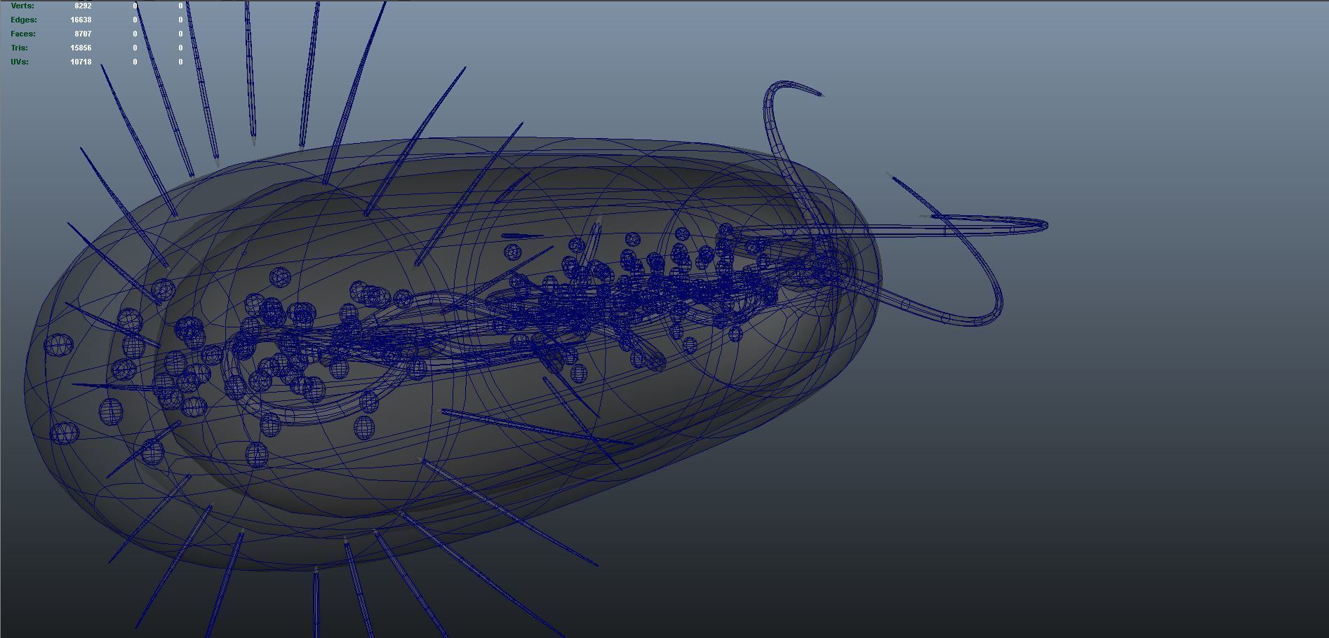 divided bacteria 3D model_9