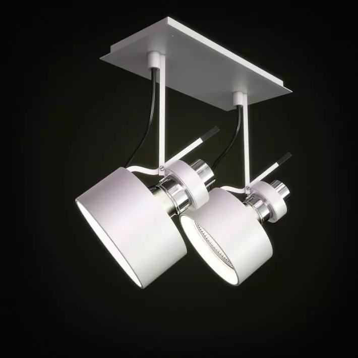 Lamp   Ceiling Mounted Light 3D model_0