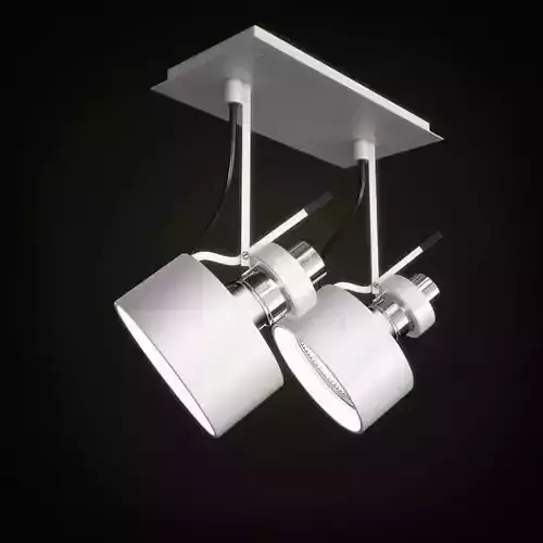 Lamp   Ceiling Mounted Light