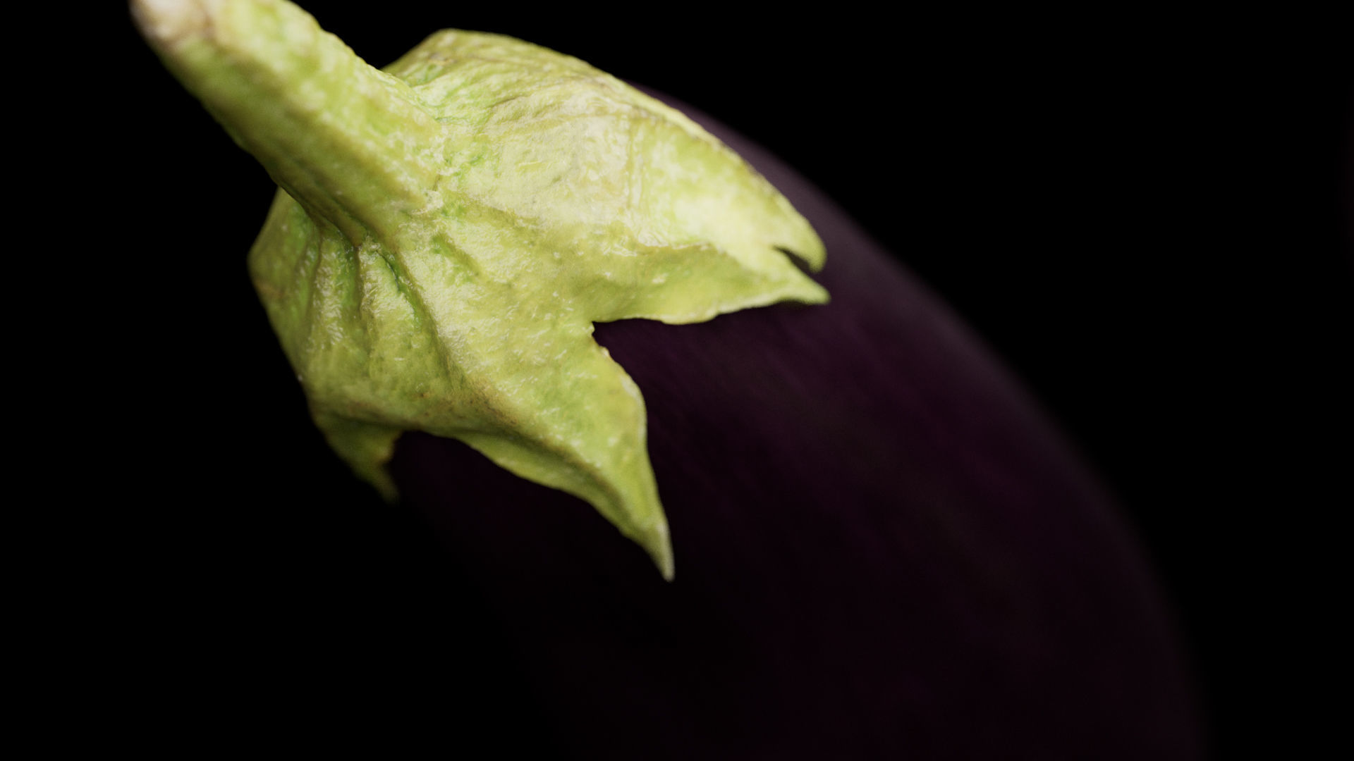 Aubergine - Eggplant 3D model_6