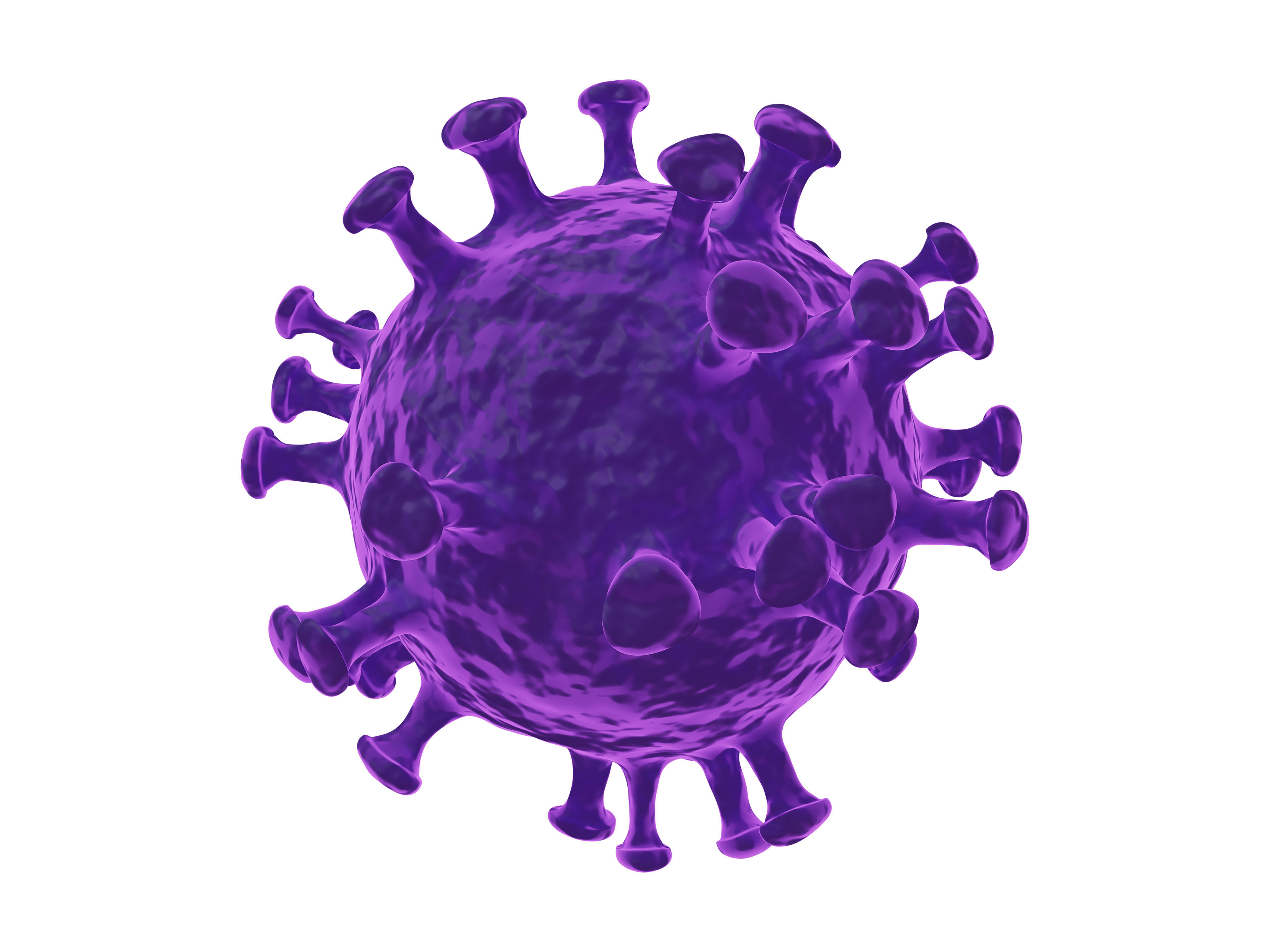 Coronavirus 3D model_2