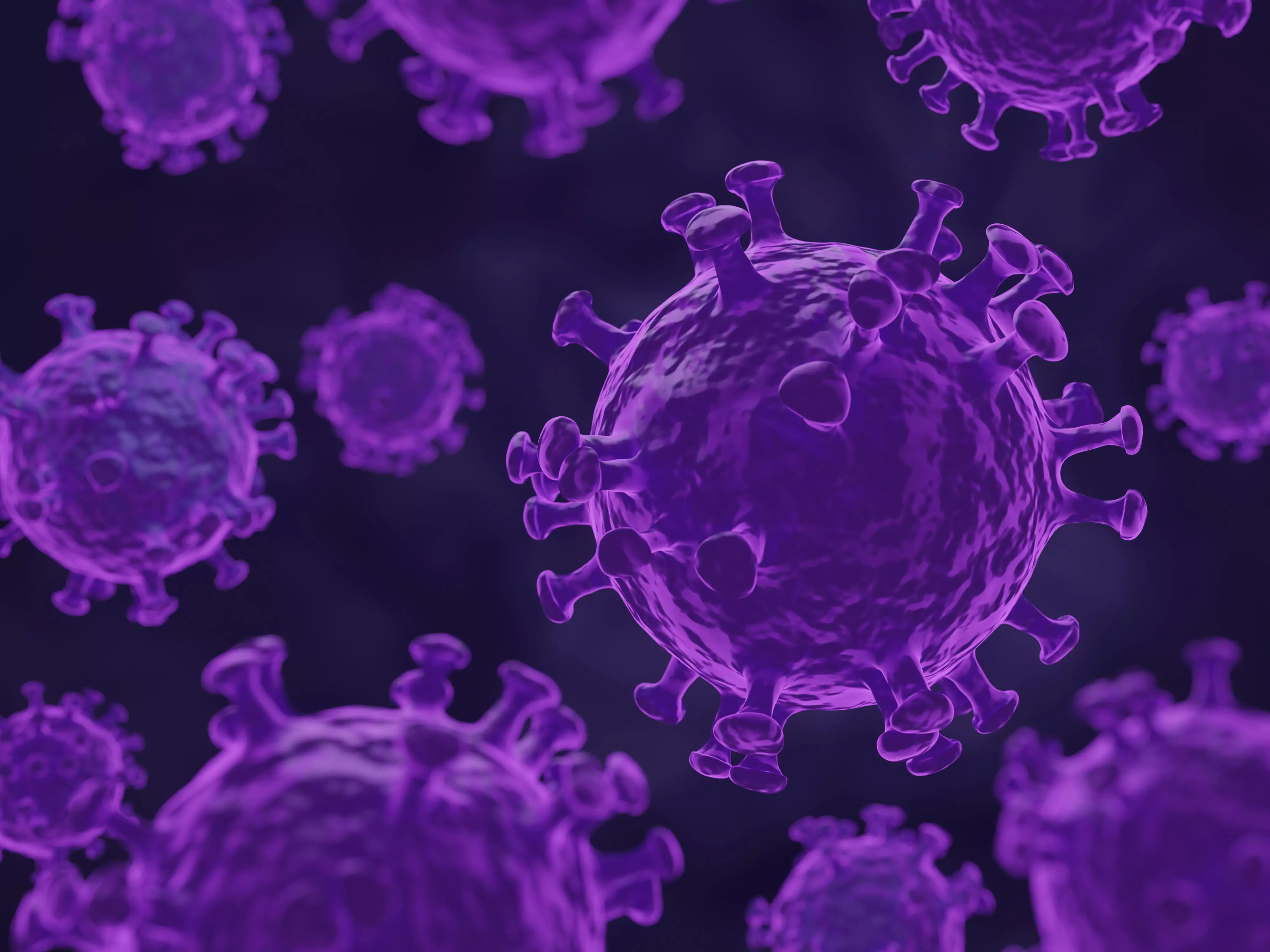 Coronavirus 3D model_0