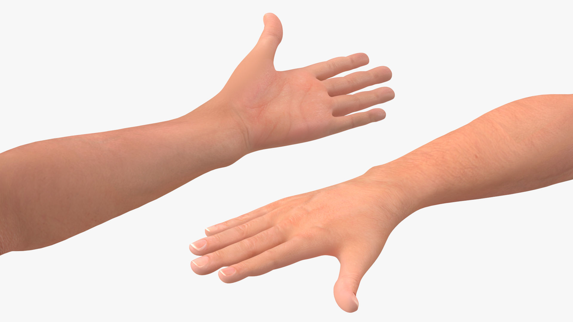 Young Man Underwear Neutral Pose 3D model_12