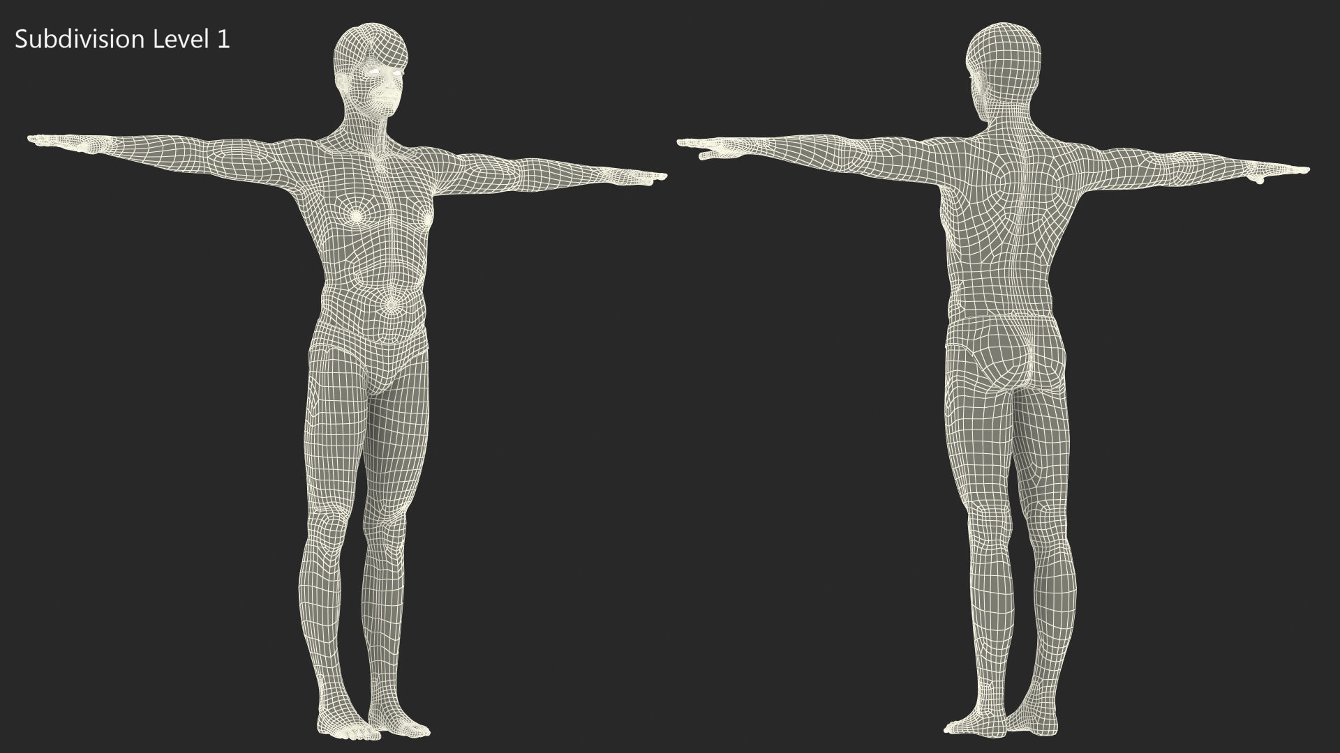 Young Man Underwear Neutral Pose 3D model_15