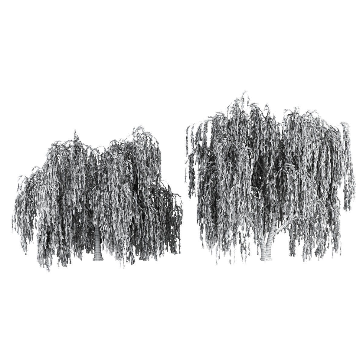 collection willow trees vol12 3D model_3