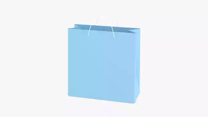 Shopping Bag