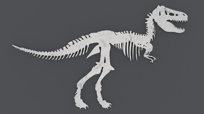 Dinosaur Skeleton - Printable 3D print model