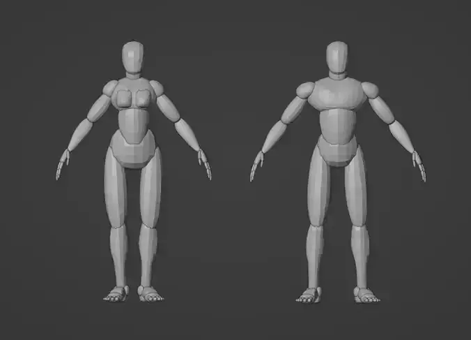 Customizable Male and Female Base Mesh