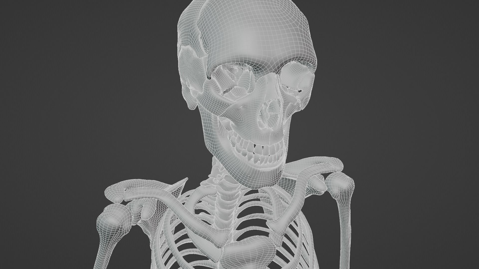 Ultimate 3D Human Skeleton Model - Medically Accurate 3d Model Low-poly 3D model_25