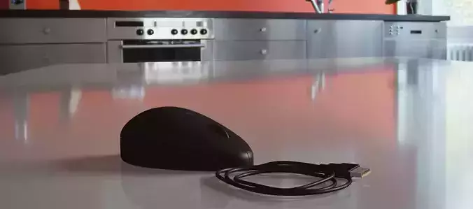 Computer mouse