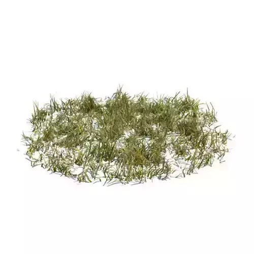 Circular Patch Of Grass 3D model