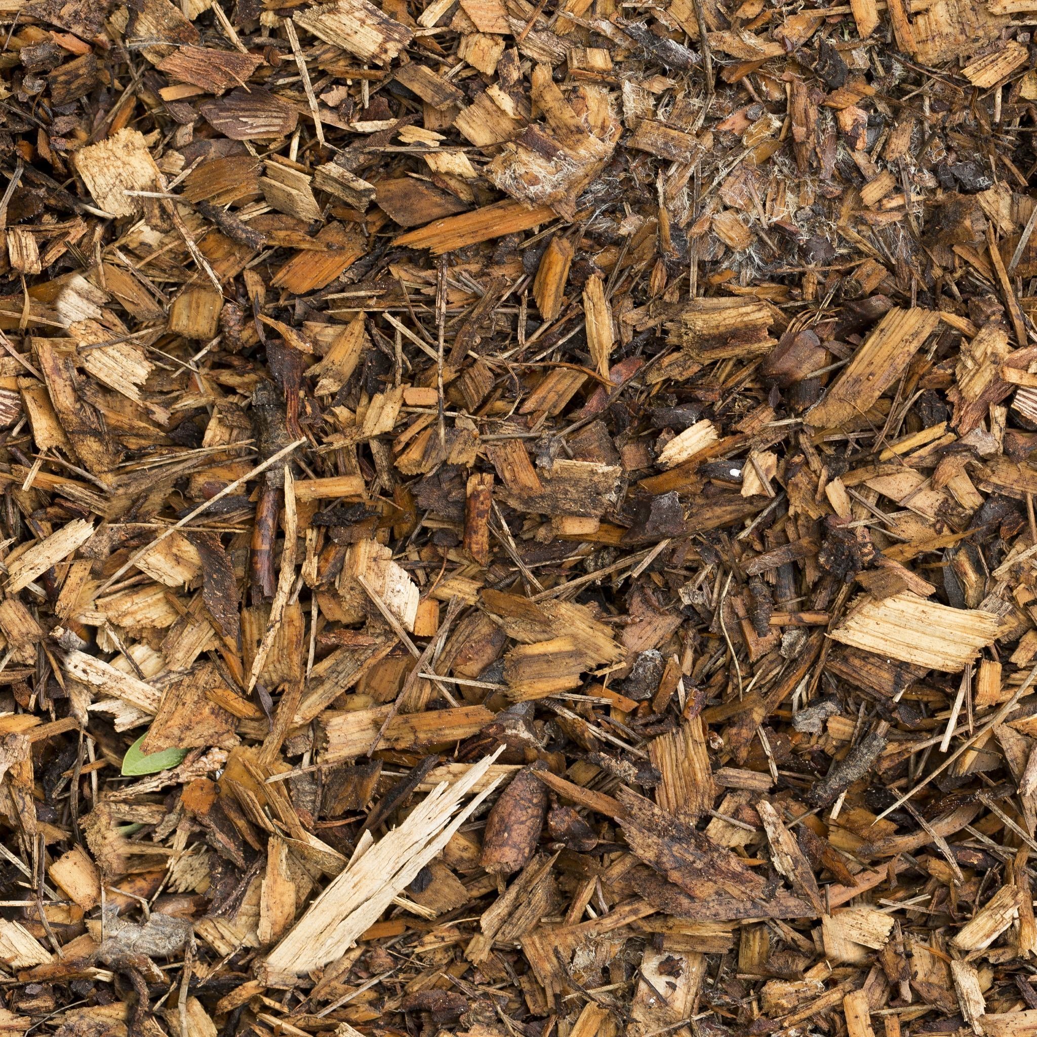 Wood Chips 1 Texture_4
