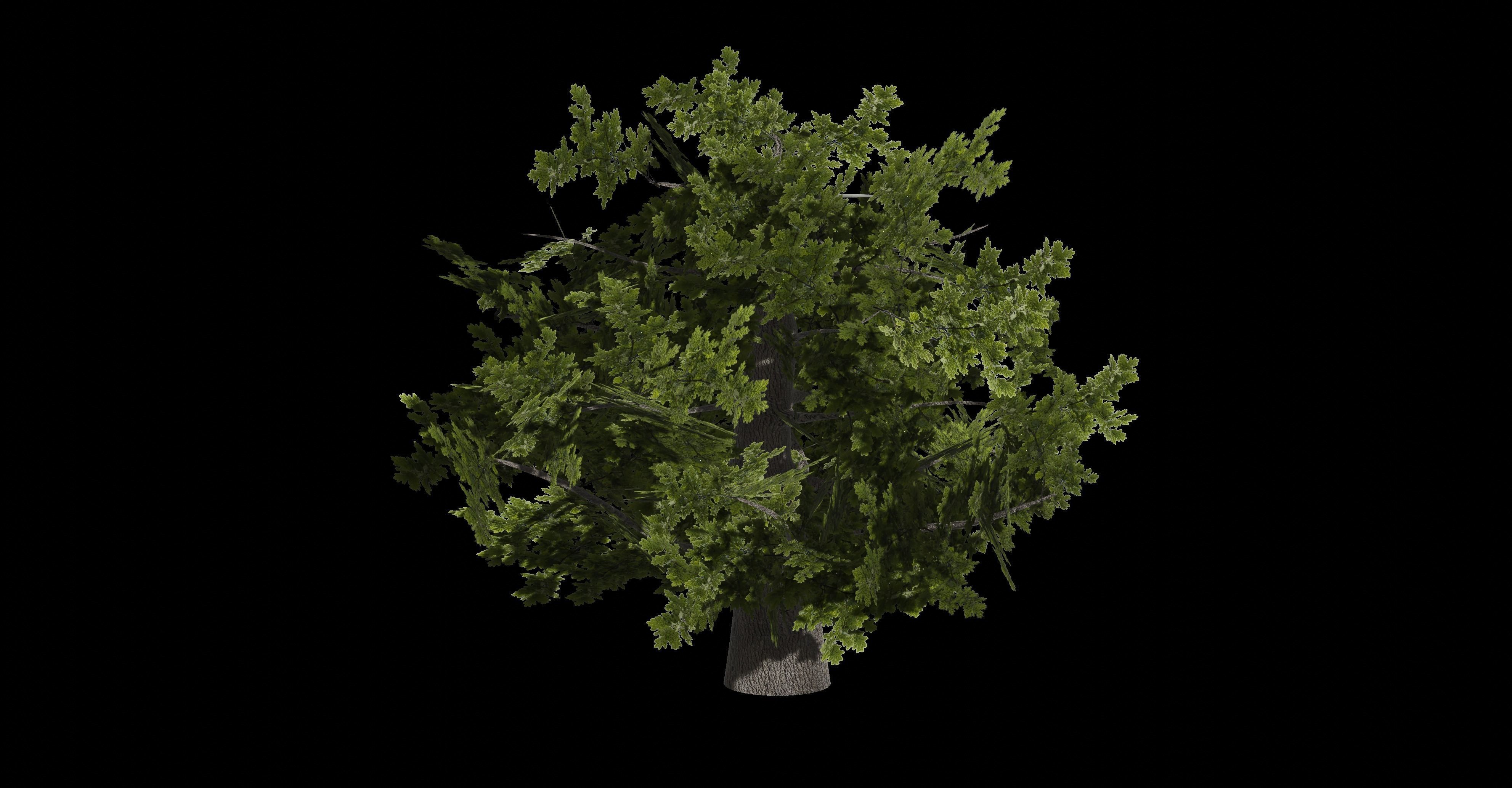 Tree PBR low-poly gme ready Low-poly 3D model_3