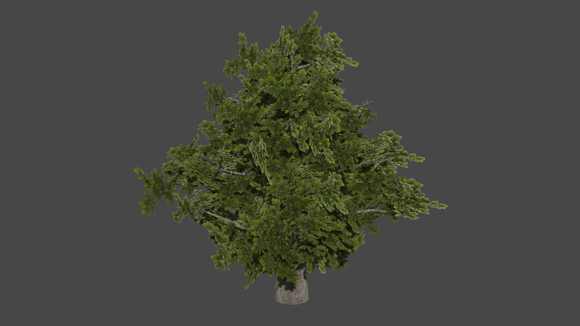 Tree PBR low-poly gme ready Low-poly 3D model_6