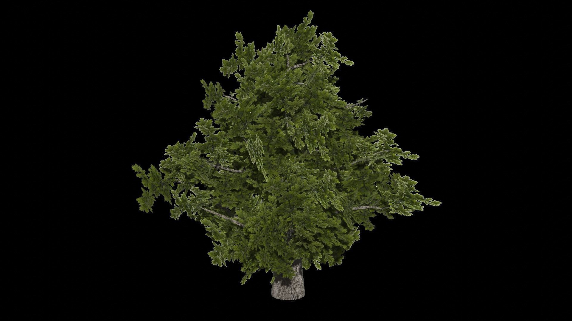 Tree PBR low-poly gme ready Low-poly 3D model_0